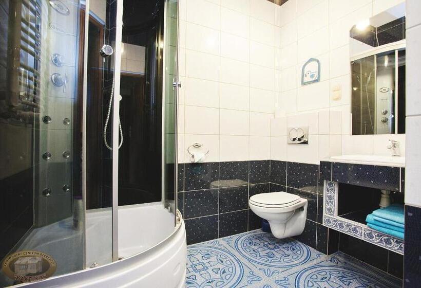 غرفة قياسية, Kaktusik