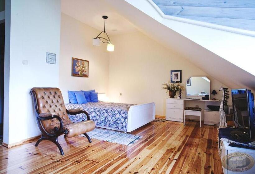 غرفة قياسية, Kaktusik