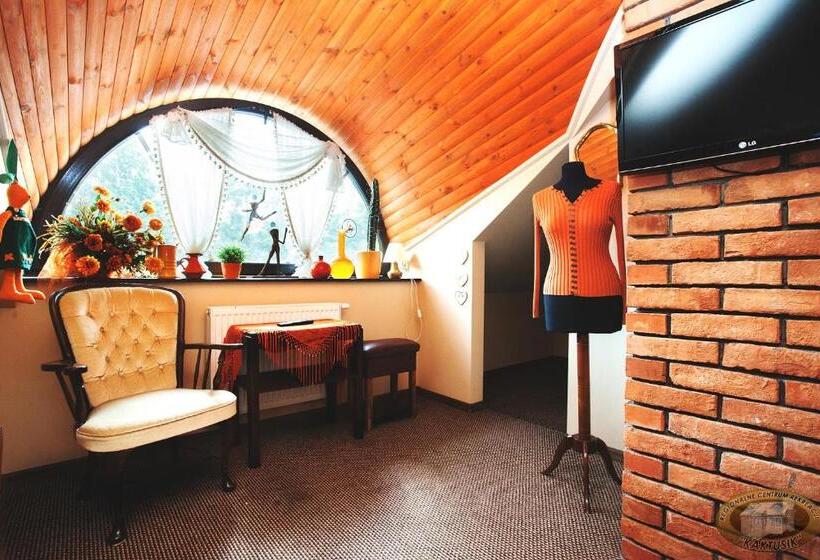 غرفة قياسية, Kaktusik