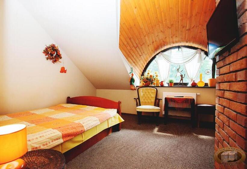 غرفة قياسية, Kaktusik