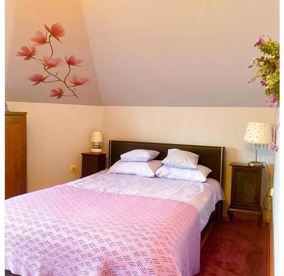 غرفة قياسية, Kaktusik