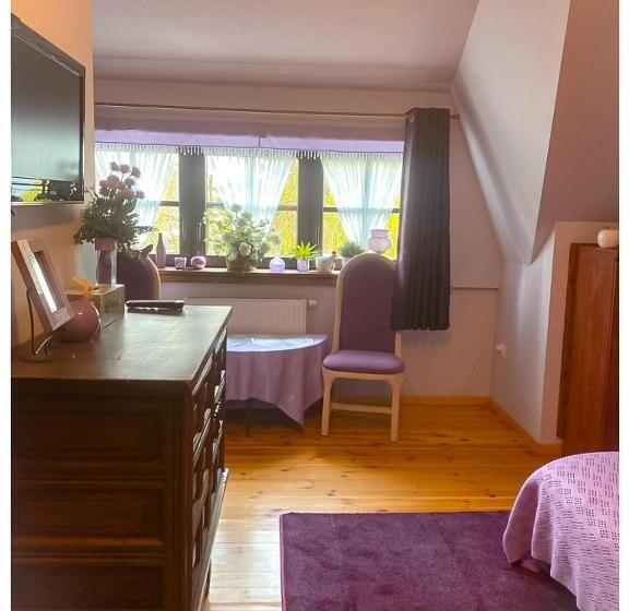 غرفة قياسية, Kaktusik