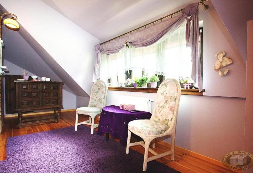 غرفة قياسية, Kaktusik