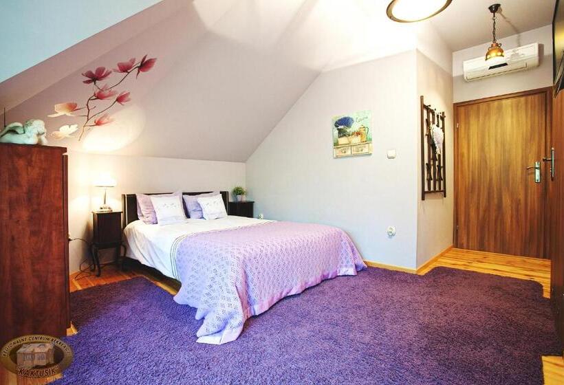 غرفة قياسية, Kaktusik