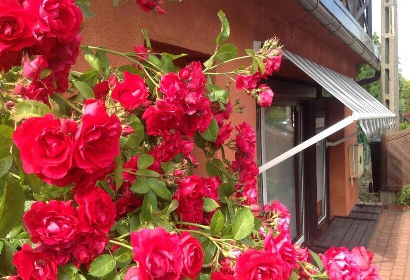 침실 2개 아파트, Gościniec Pod Markizami