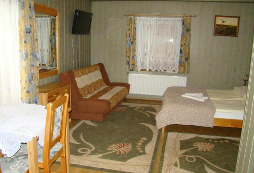 标准工作室, Willa Stenia Apartamenty