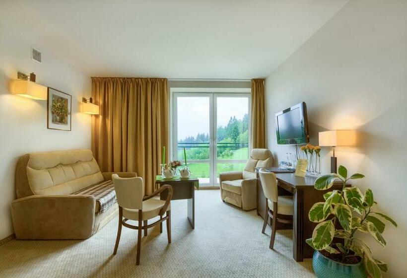 اتاق استاندارد با بالکن, 4 Pory Roku & Spa