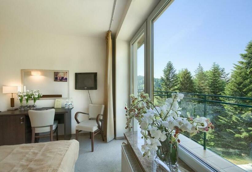 اتاق استاندارد با بالکن, 4 Pory Roku & Spa