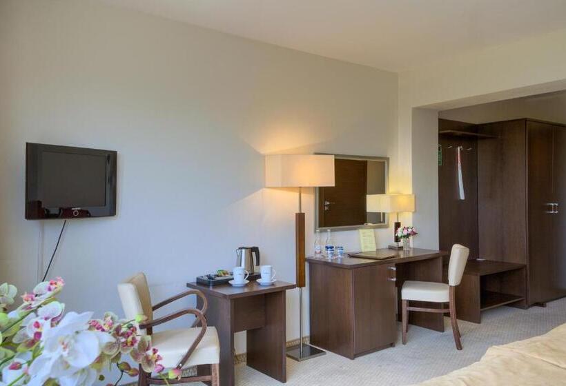 اتاق استاندارد با بالکن, 4 Pory Roku & Spa