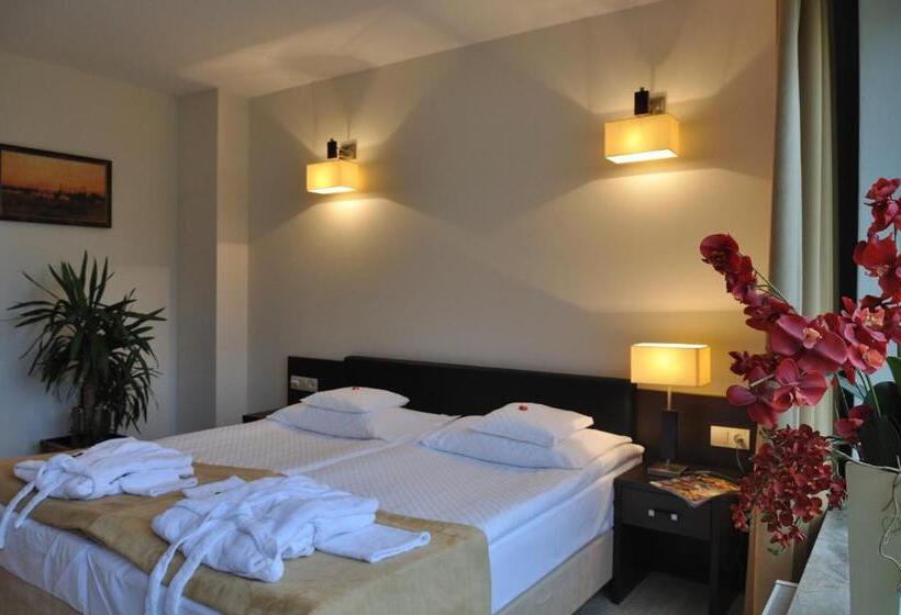 اتاق استاندارد با بالکن, 4 Pory Roku & Spa