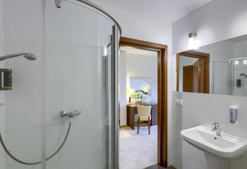 اتاق استاندارد سه نفره, 4 Pory Roku & Spa