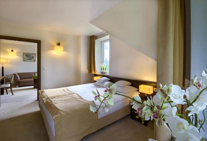 آپارتمان لوکس 1 خوابه, 4 Pory Roku & Spa