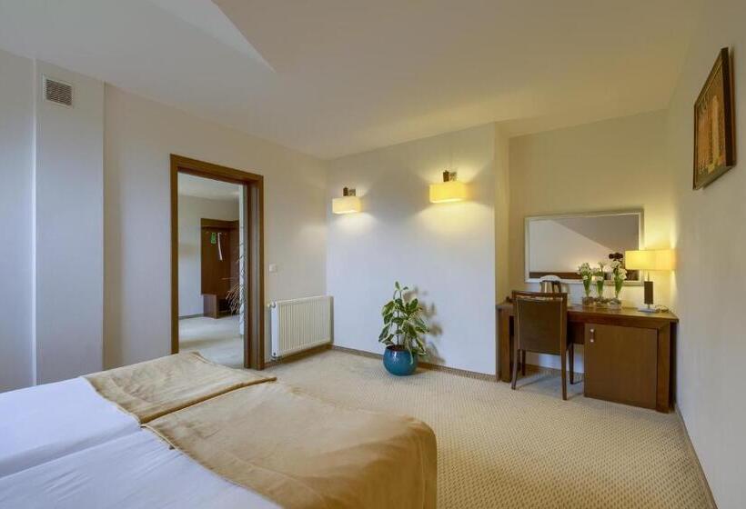 اتاق استاندارد یک نفره, 4 Pory Roku & Spa