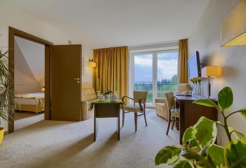 اتاق استاندارد یک نفره, 4 Pory Roku & Spa