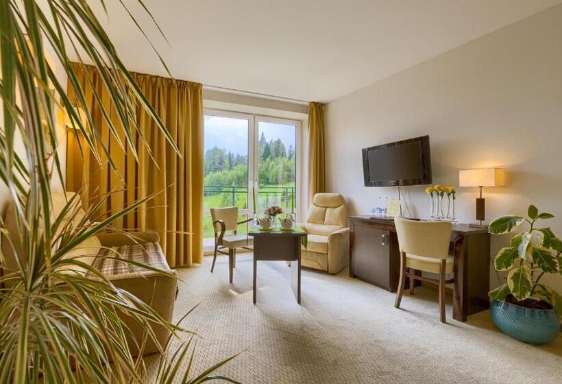 اتاق استاندارد یک نفره, 4 Pory Roku & Spa