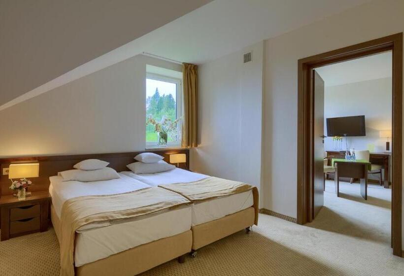 اتاق استاندارد یک نفره, 4 Pory Roku & Spa