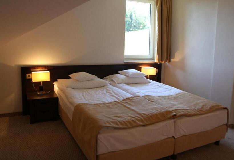 اتاق استاندارد یک نفره, 4 Pory Roku & Spa