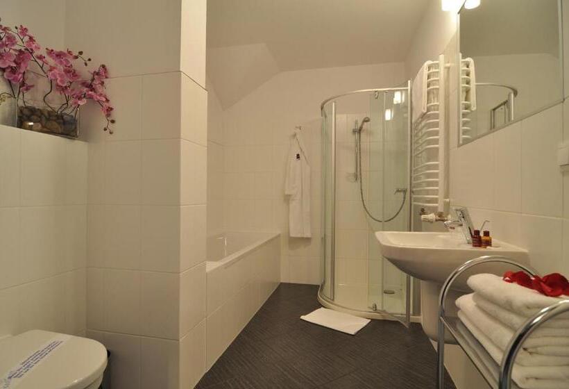 اتاق استاندارد یک نفره, 4 Pory Roku & Spa