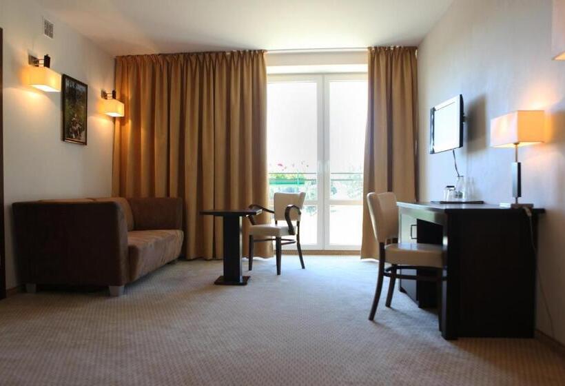 اتاق استاندارد یک نفره, 4 Pory Roku & Spa