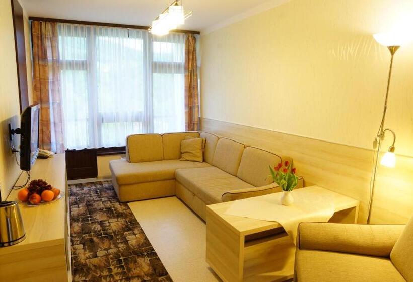 اتاق لوکس, Dom Wczasowy Jawor