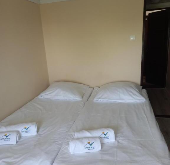 חדר בסיסי, Halny Natura Tour