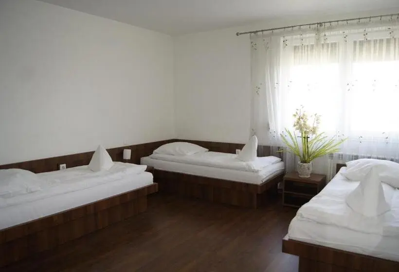 Standard Kolmen Hengen Huone, Uslugi Hotelowe A1