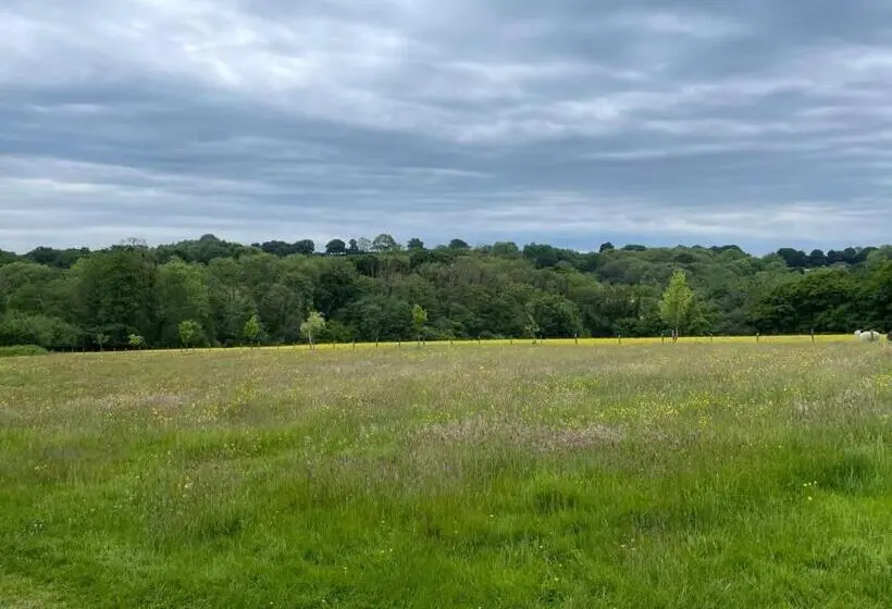 キングサイズベッドのスーペリアルーム, Meadow View