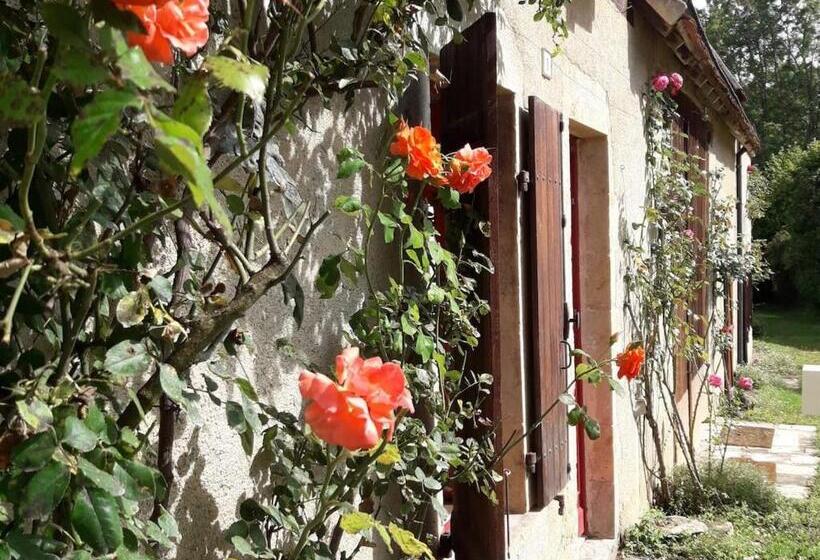 Номер Стандарт, Guestroom Nohant Vic, 1 Pièce, 2 Personnes Fr 1 591 391