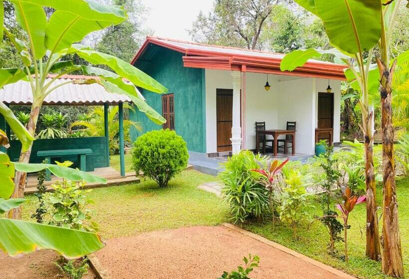 スタンダードルーム, The Hutt Habarana