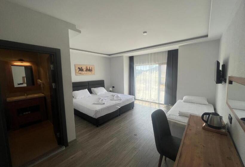 اتاق استاندارد سه تخته با چشمانداز باغ, Tolstoy Un Bisikleti Otel