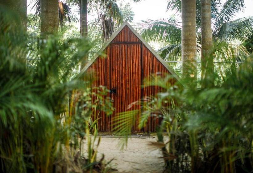 اتاق استاندارد با سرویس بهداشتی مشترک, Glamping Bufo Alvarius Sanctuary Bacalar