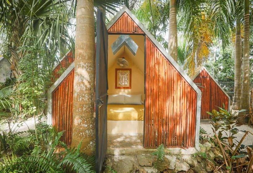 バス共有のスタンダードルーム, Glamping Bufo Alvarius Sanctuary Bacalar