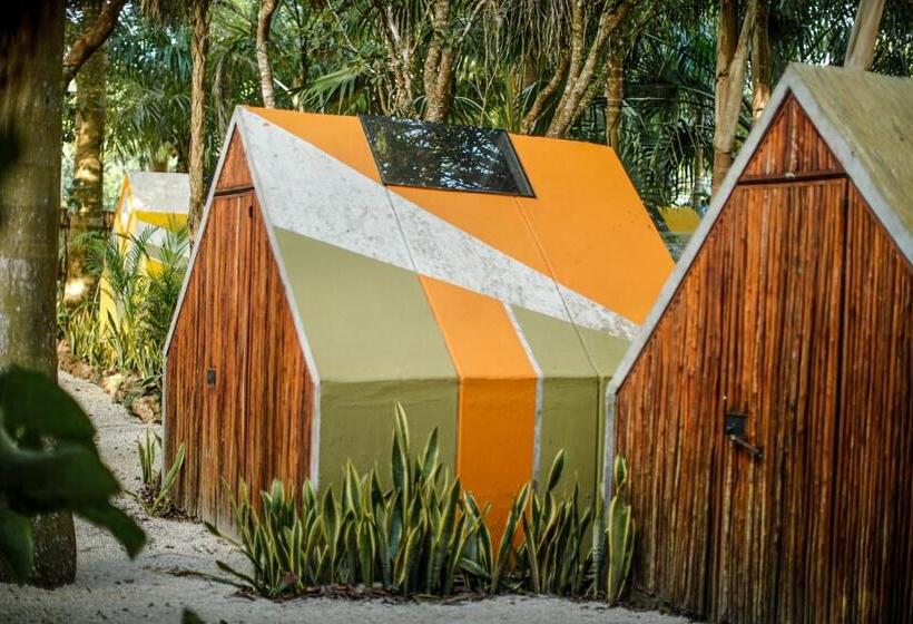 バス共有のスタンダードルーム, Glamping Bufo Alvarius Sanctuary Bacalar