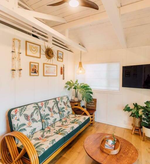 스위트, The Guava Shack