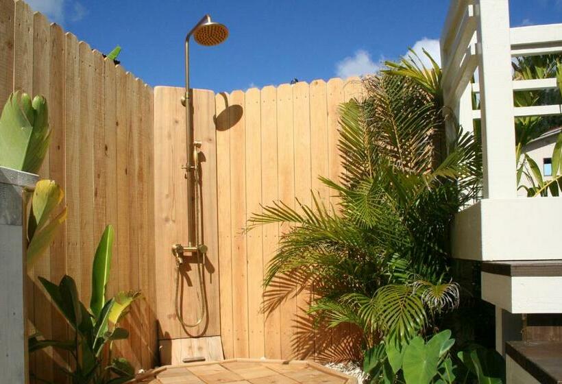 스위트, The Guava Shack