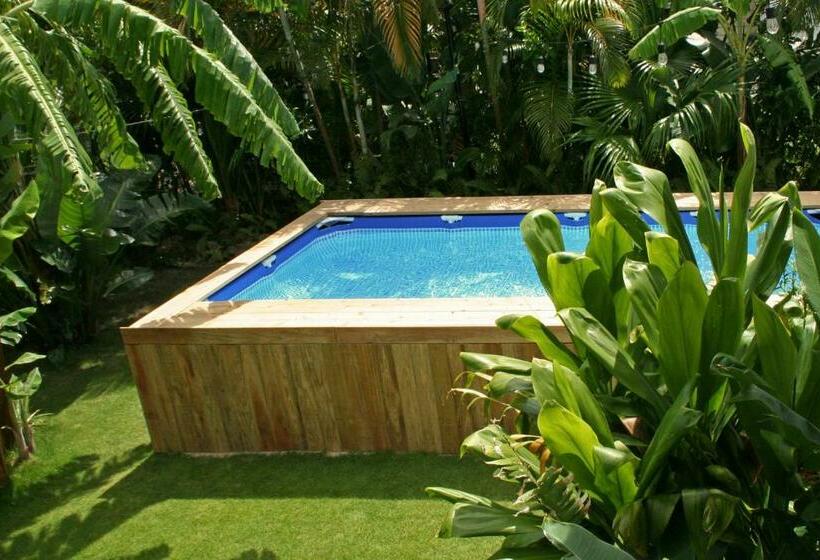 스위트, The Guava Shack