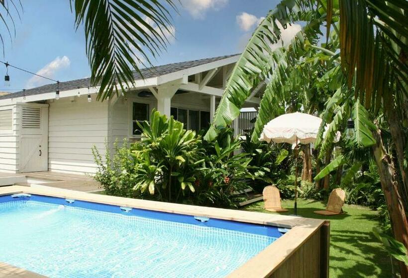 스위트, The Guava Shack