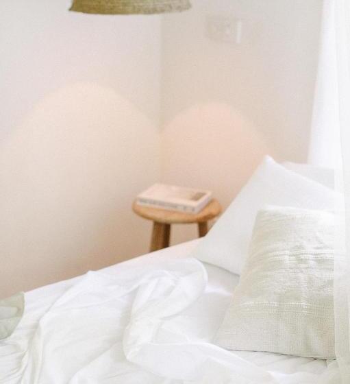 Camera Standard, The Kip