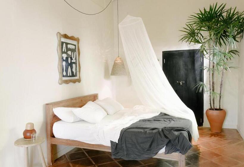 Camera Standard, The Kip