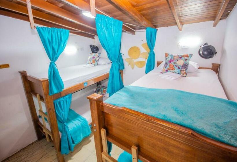 تختخواب در اتاق مشترک, Spring Hostel