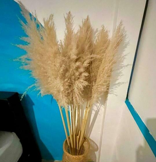 تختخواب در اتاق مشترک, Spring Hostel