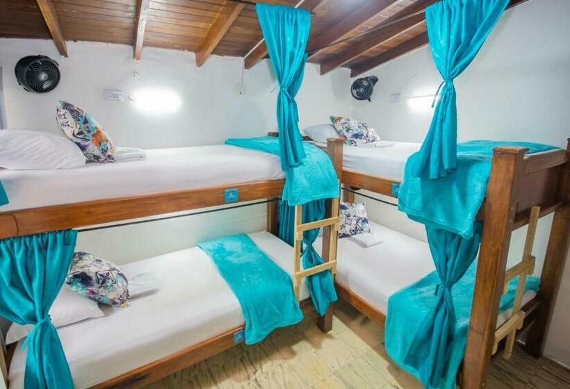 تختخواب در اتاق مشترک, Spring Hostel