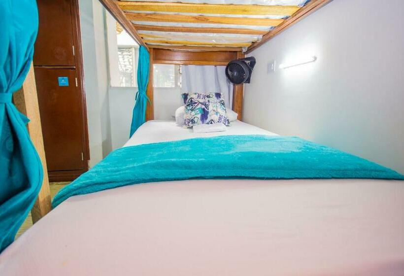 تختخواب در اتاق مشترک, Spring Hostel