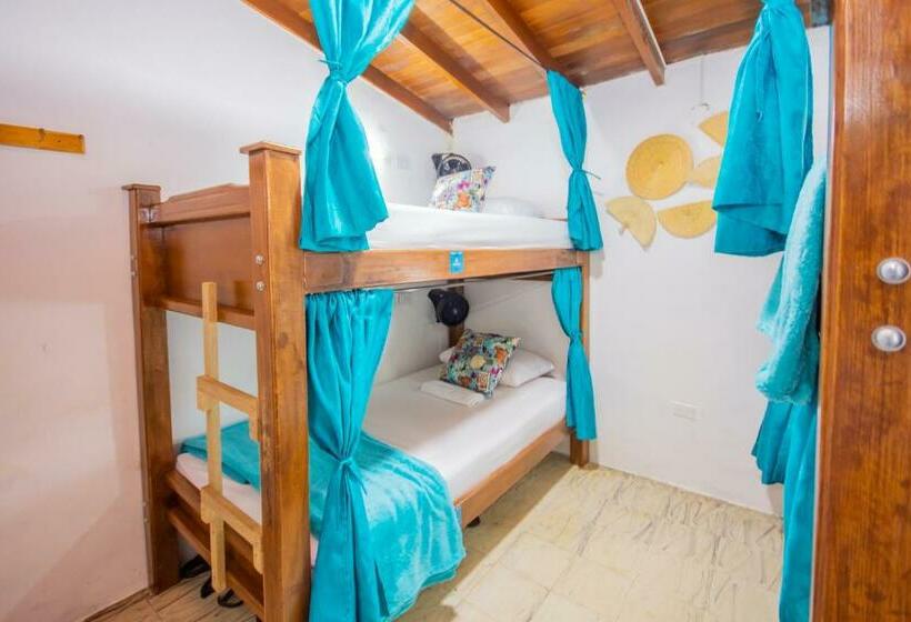 تختخواب در اتاق مشترک, Spring Hostel