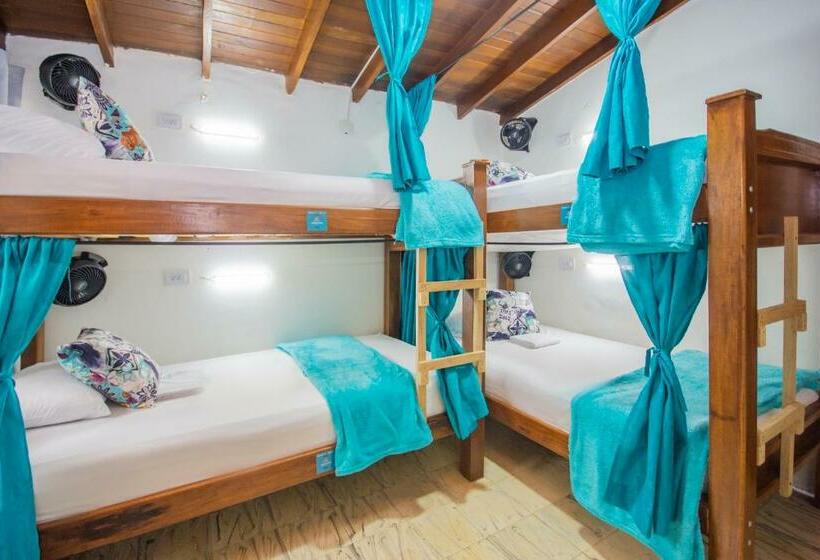 تختخواب در اتاق مشترک, Spring Hostel