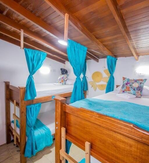 تختخواب در اتاق مشترک, Spring Hostel