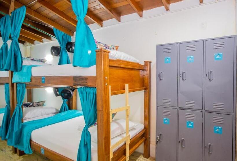 اتاق خانوادگی, Spring Hostel