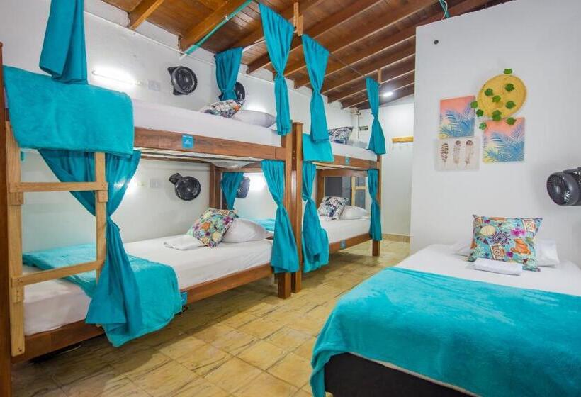 اتاق خانوادگی, Spring Hostel