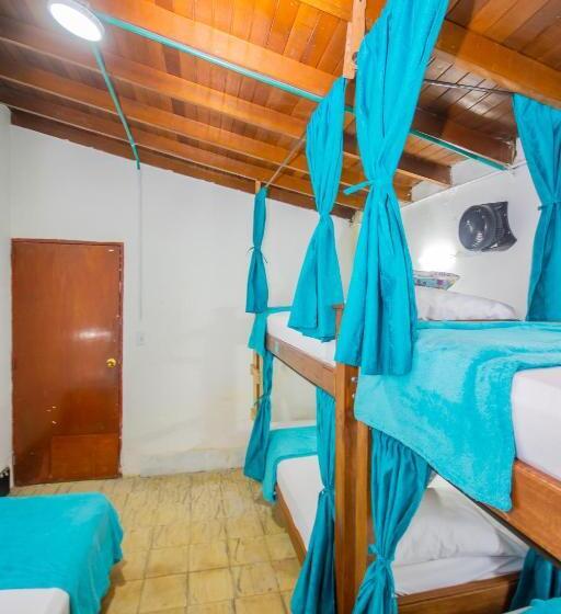 اتاق خانوادگی, Spring Hostel