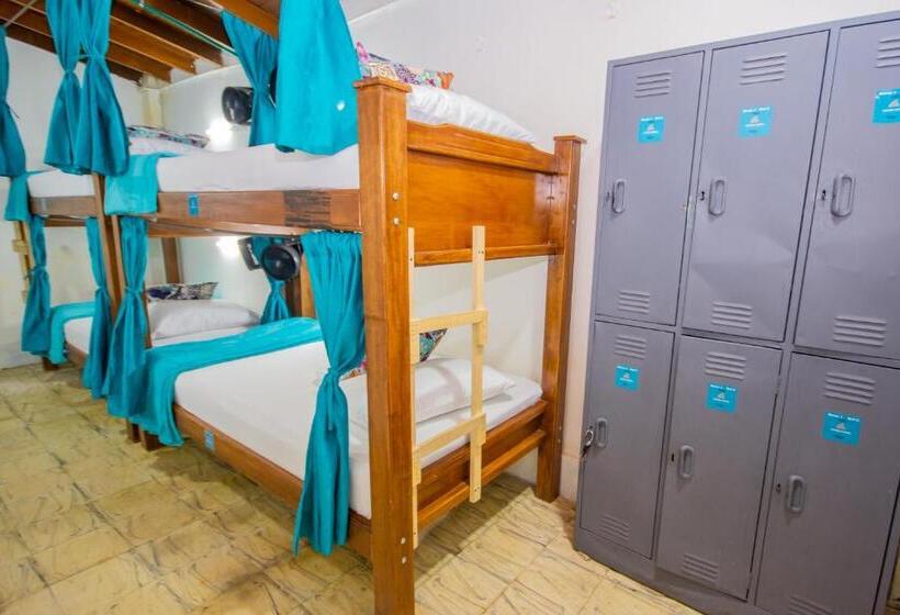 اتاق خانوادگی, Spring Hostel